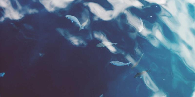 HR服务如何重塑求职与人才招聘新格局