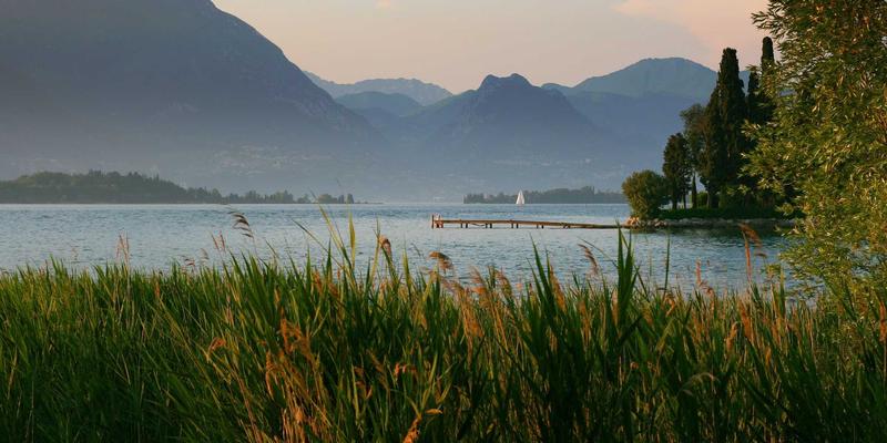 HR服务新视角：如何通过多元化人才招聘构建高创新力团队