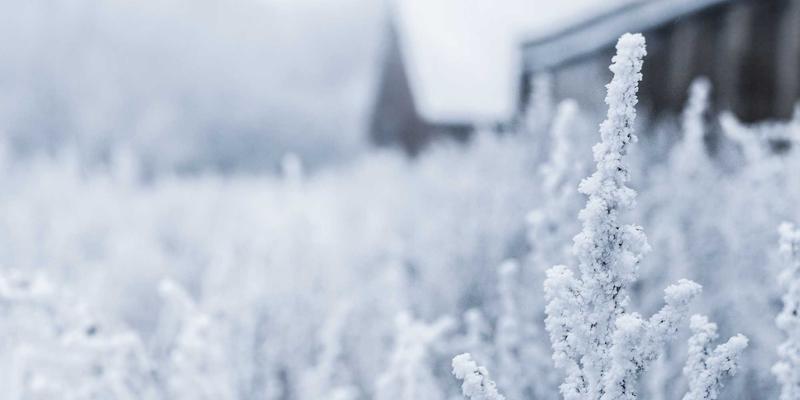 中小企业如何低成本招聘优秀人才？5大HR服务策略破解招聘难题