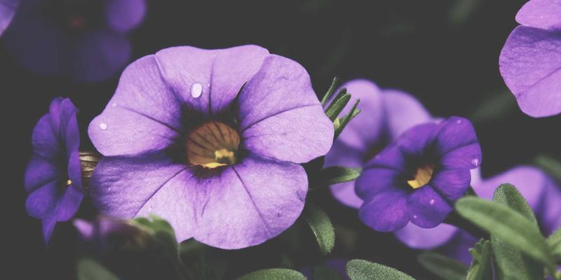 人才招聘预算如何精准分配？深度解析招聘渠道效果评估与ROI分析