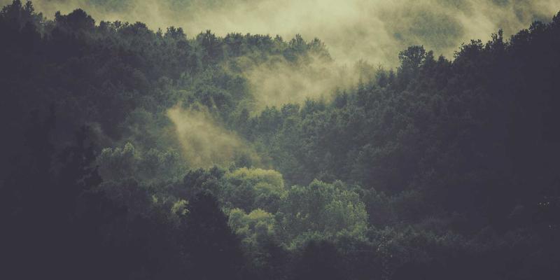 招聘流程外包（RPO）深度评估：何时采用HR服务及如何选择像聚人网这样的招聘网站合作伙伴