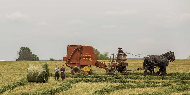 招聘营销实战：将营销思维应用于人才吸引全流程 | 聚人网HR服务洞察