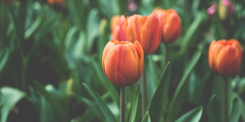 校园招聘升级策略：如何与高校深度合作，通过专业招聘网站精准锁定潜力毕业生