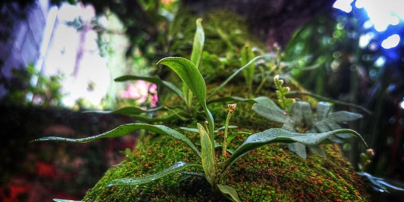 校园招聘策略升级：从宣讲会到长期人才生态的构建 | 聚人网人才招聘新解