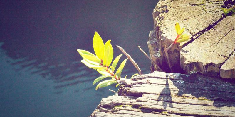 聚人网实践指南：如何运用AI技术革新HR服务，精准连接企业与求职者