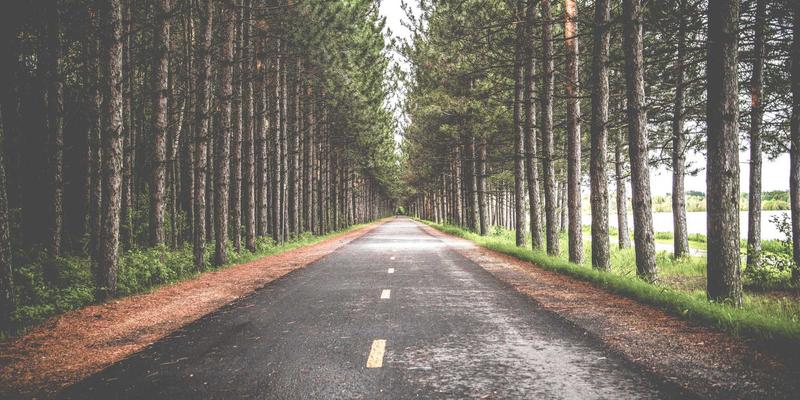 聚人网解析：如何利用抖音、小红书等社交媒体，打造吸引Z世代的人力资源服务新阵地