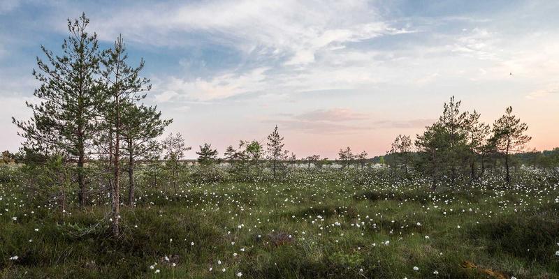 雇主品牌建设：HR服务如何成为高端人才吸引与留存的关键引擎